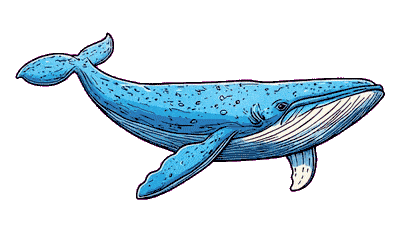 Whale